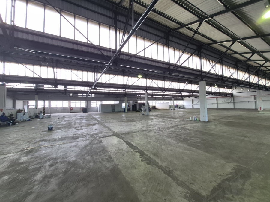 To Let Commercial Property for Rent in Paarden Eiland Western Cape
